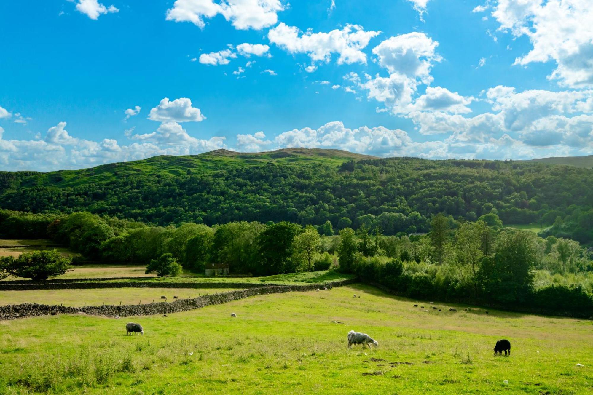 Bridge End Farm Cottages Boot Dış mekan fotoğraf